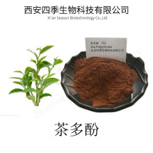 绿茶提取物98% 茶多酚 厂家提取 儿茶素 茶多酚 欢迎咨询