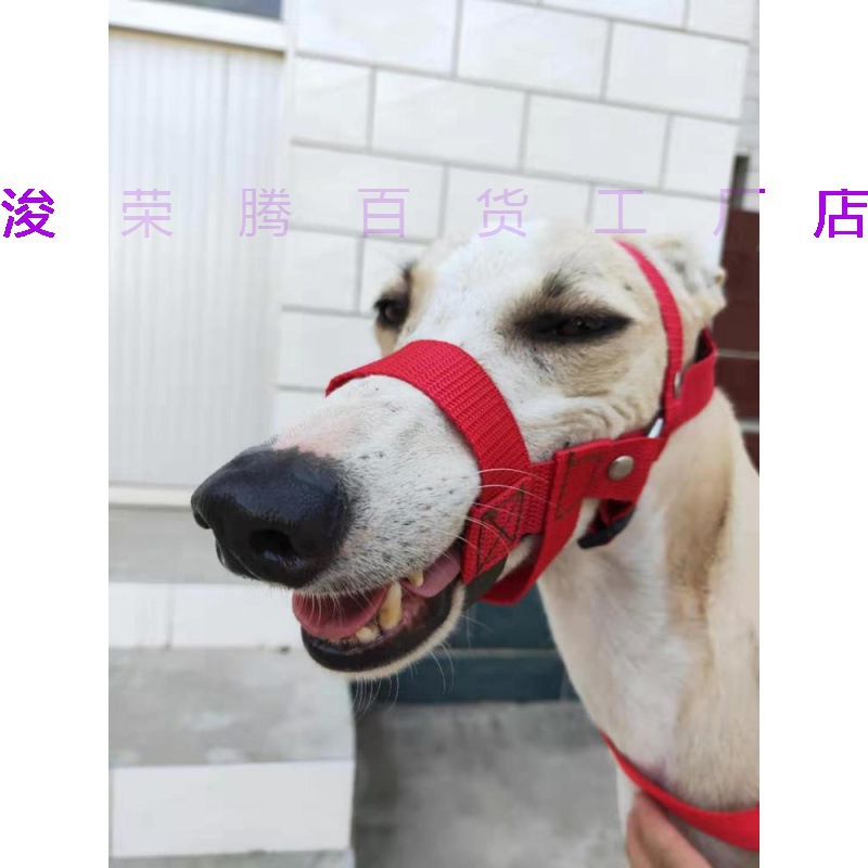 细狗防咬狗嘴套格力犬活口口笼防叫乱吃中毒灵缇嘴套惠比特犬口罩