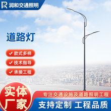 厂家供应8米10米高低双臂路灯12米市政工程道路双头路灯灯杆批发