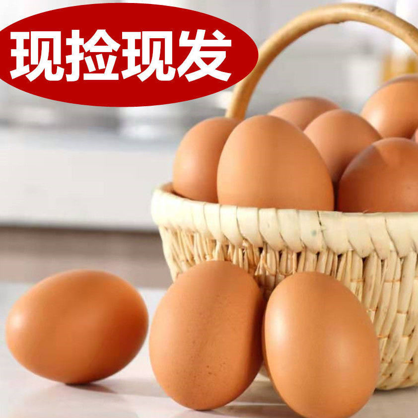 现捡现发新鲜农家红皮鸡蛋红壳蛋月子蛋宝宝辅食批发包邮