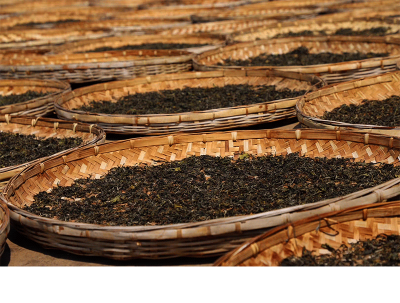 批发千家寨野茶红茶2022头春古树红茶自产自销花果香荒野古晒红茶