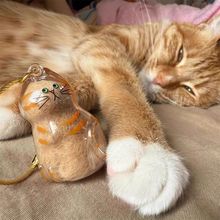 猫毛收集瓶透明收纳盒吊饰宠物猫咪毛发存放扭蛋包钥匙扣挂件纪念
