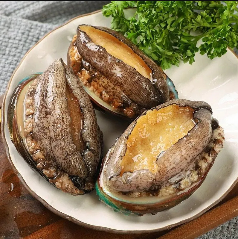 代发专拍 2斤鲍鱼【16-20头左右】