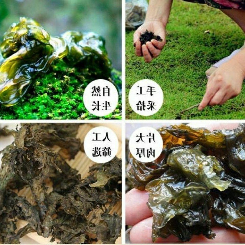 甘肃会宁纯野生地皮菜精选非免洗地皮菜地软地达菜地耳野菜干菜