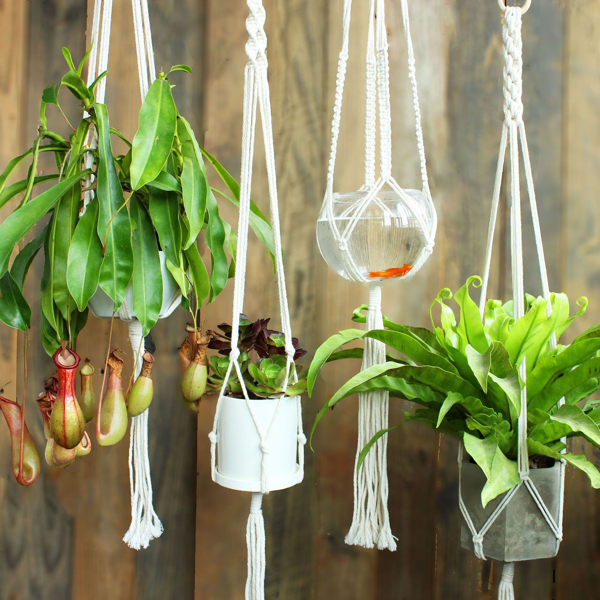 手工编织棉绳麻绳花盆吊挂绳网兜垂吊绿植盆栽多肉挂壁悬挂盆吊绳