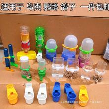 鸽子用品用具水壶双口导水器信鸽用品鸟用鹦鹉自动饮水器喂水鸽具