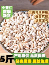 新货小薏仁米500g贵州苡仁农家自产好吃五谷杂粮配红豆赤小豆粥