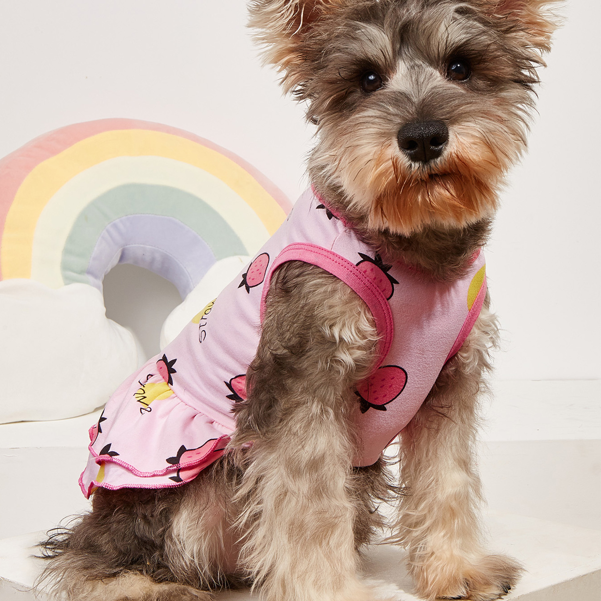 宠物狗狗衣服夏季公主迷你裙舒适柔软弹力贴身薄款小型犬猫咪服饰