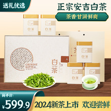 【安吉白茶】批发2024年新茶安吉白茶 茶厂明前头茶 礼品精装白茶