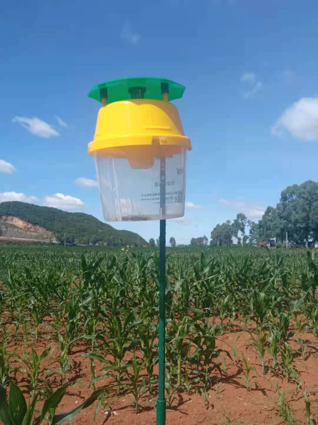 农田飞蛾梨小甜菜诱捕器稻田玉米地草地贪诱捕器果树果实蝇诱捕器