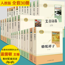 人教正版朝花夕拾海底两万里钢铁是怎样炼成的儒林外史七八九年级