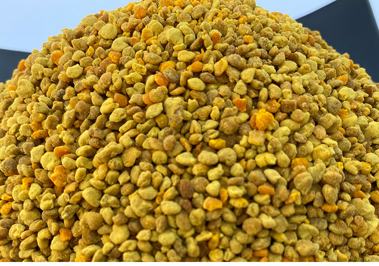 油菜花粉喂蜂养蜂繁蜂蜜蜂饲料青海颗粒油菜杂蜂花粉蜂粮新手养蜂