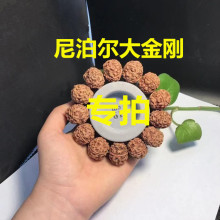 尼泊尔大金刚菩提手串批发 金刚菩提单圈专场 大量批发