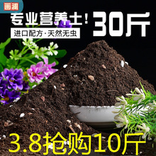 营养土植物通用兰花花卉土配方土椰砖多肉土壤基质园艺肥料土芦荟