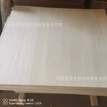 桐木板实木板拼接板泡桐木板桌椅板工艺品板家具层板置物架