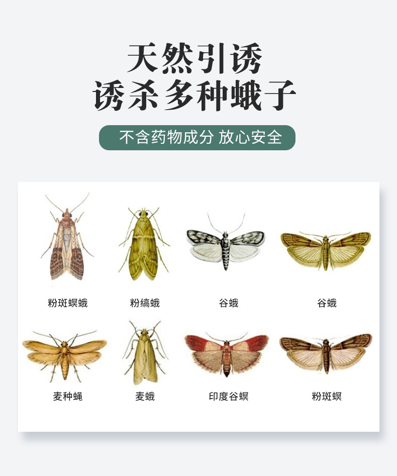 飞蛾诱捕器灭飞蛾米虫杀蛾子贴蛾蠓蛾蚋印度谷螟米面蛾陷阱 5片装