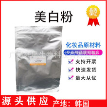 韩国 L-WHITE L-WHITE 植物美白素 护肤面膜原料 美白粉100克/袋