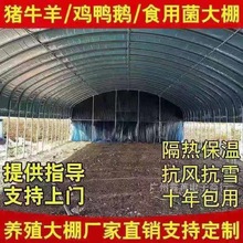 养殖大棚全套大棚骨架家用温室种植棚专业养鸡棚羊棚牛棚养猪大棚