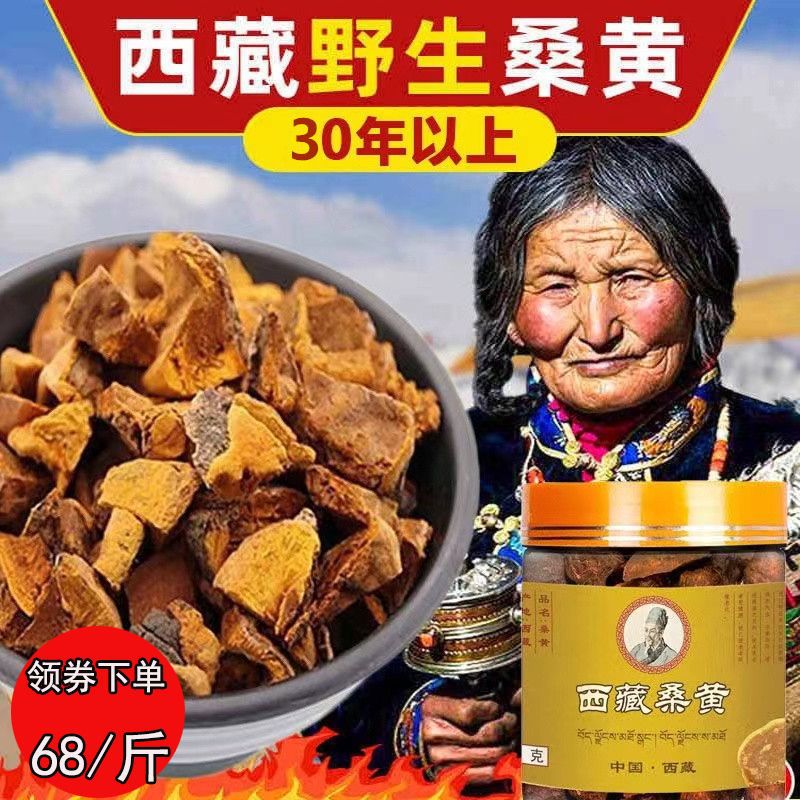 西藏桑黄野生金边桑树桑黄灵芝天然野生桑树桑黄菌泡水泡酒-阿里巴巴