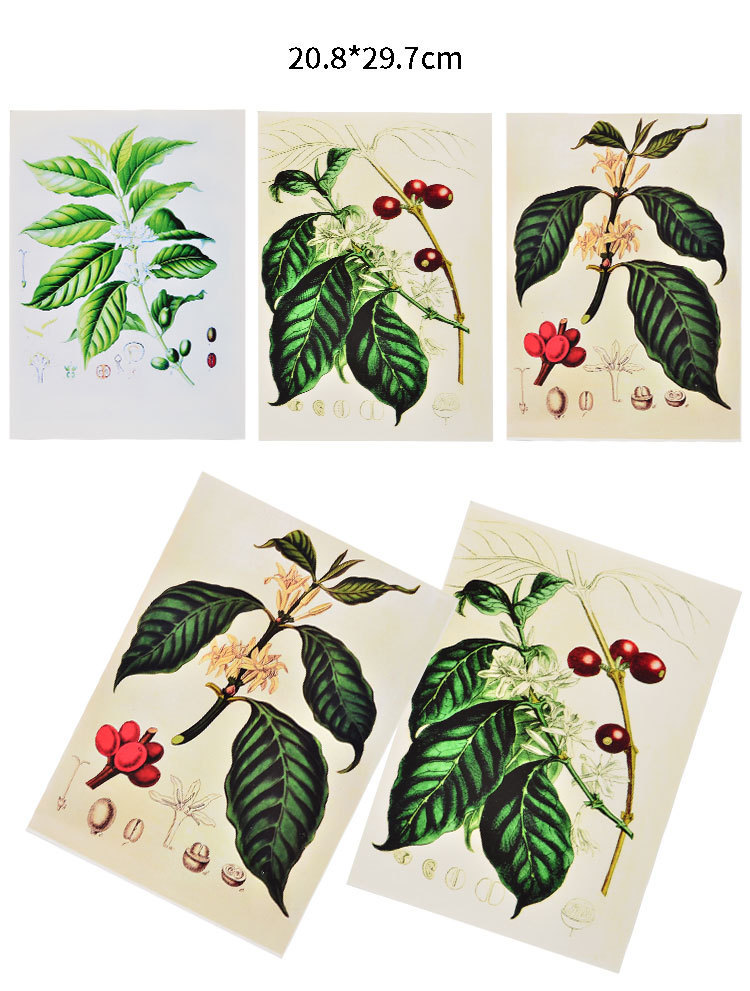 咖啡装饰画咖啡厅展示挂件咖啡树挂件装饰品