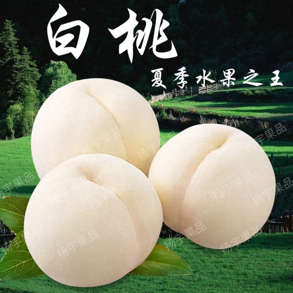 山东奶油大白桃新鲜桃子脆甜当季现摘白玉桃孕妇水果蜜桃毛桃批发