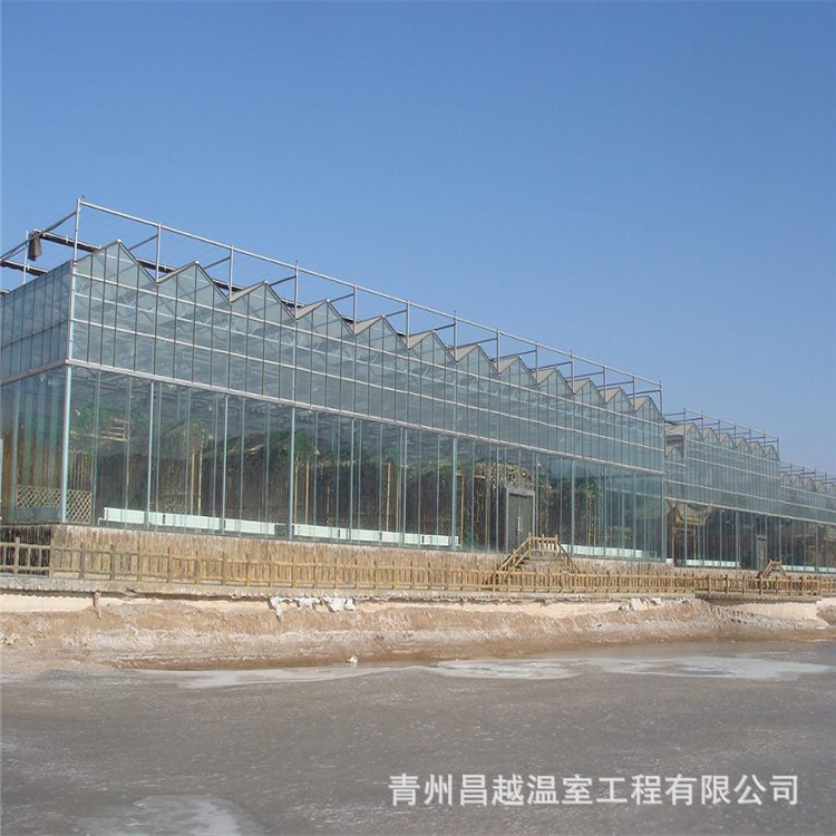 农业观光新型休闲智能连栋玻璃温室大棚大型科学会议中心质量优越