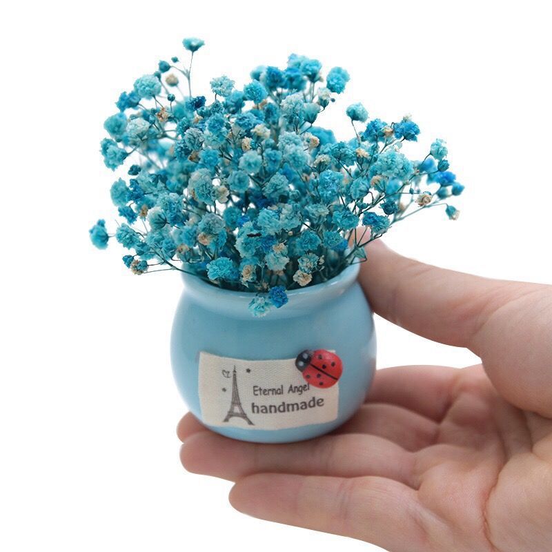 Mini Preserved Fresh Flower Starry Dried Flower Small Vase Home Desk Car Pot Decoration for Birthdays and Valentine's Days Gift