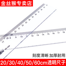 金丝猴小学生直尺15厘米画图测量20/30/40cm透明尺子学生文具尺子