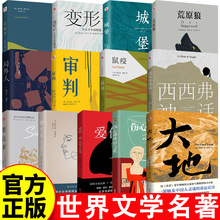 世界文学名著诺贝尔文学奖代表作全译中文版大地爱伦坡短篇小说集