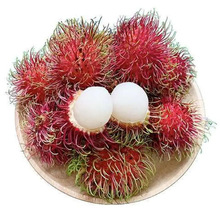 泰国红毛丹当季新鲜红牡丹热带水果毛荔枝红毛丹一件代发