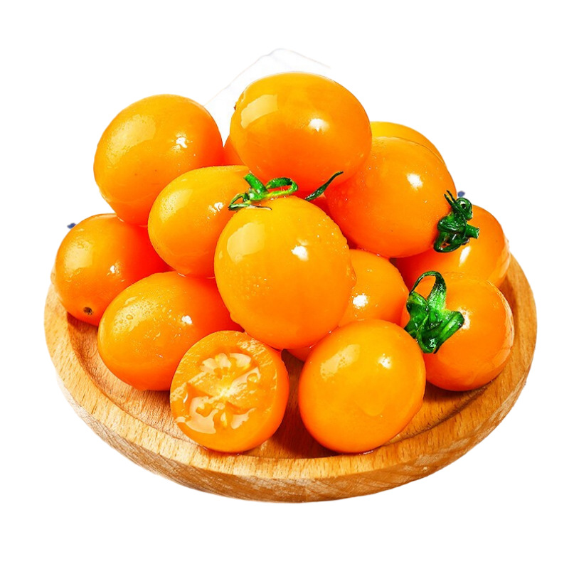 【现摘现发】福建农家现摘黄色小番茄黄金圣女果小西红柿新鲜蔬菜