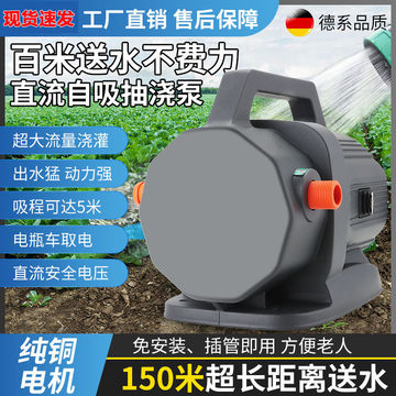 直流自吸增压抽浇泵电瓶车取电户外取水浇灌抽水泵48v60v72v-阿里巴巴