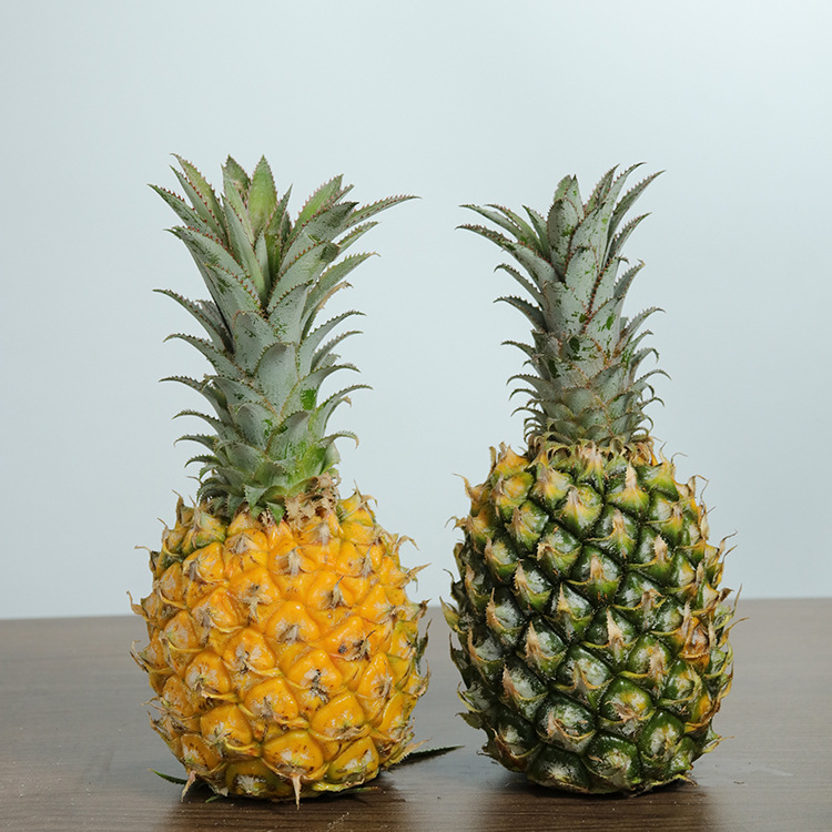 产地货源广东徐闻香水菠萝4斤送1斤新鲜水果批发非海南金钻凤梨