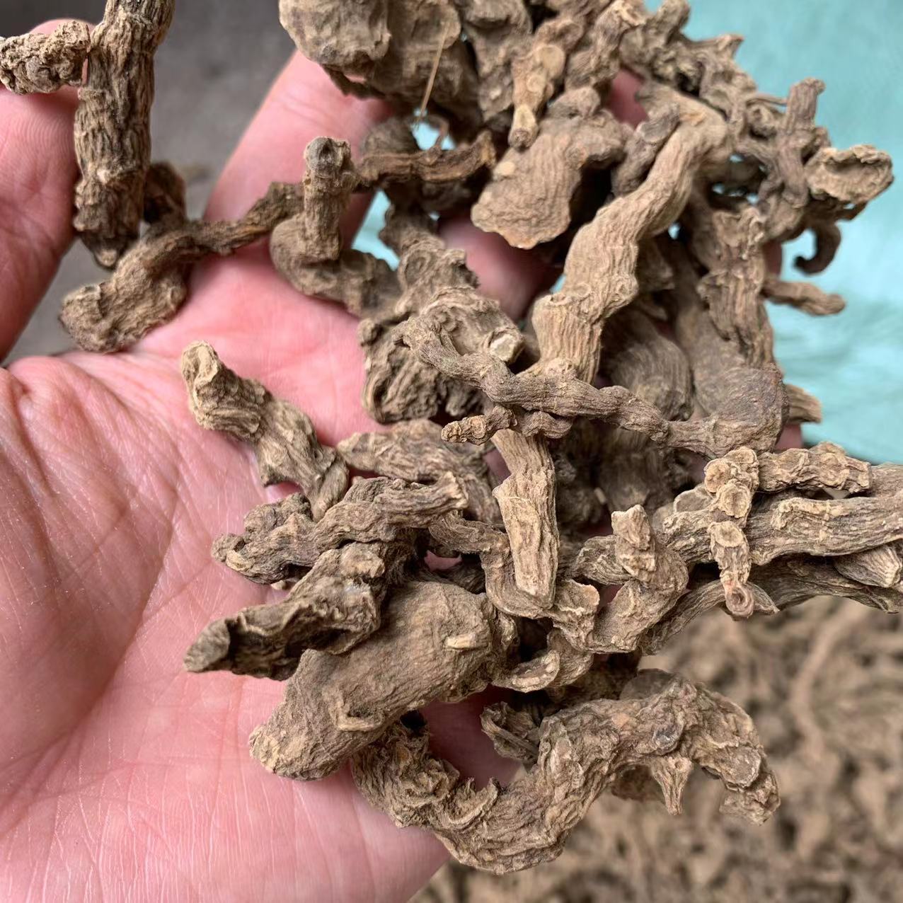 缅甸竹节三七竹节三七土三七产地货源竹节参中药材批发-阿里巴巴