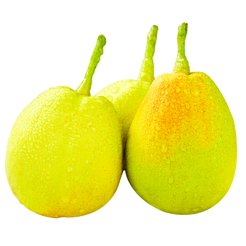 新疆库尔勒香梨嫁接新鲜水果带箱10斤当季应季梨子包邮-阿里巴巴