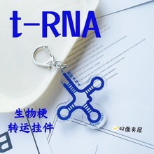 转运RNA挂件亚克力trna双面生物科研趣味搞怪钥匙扣