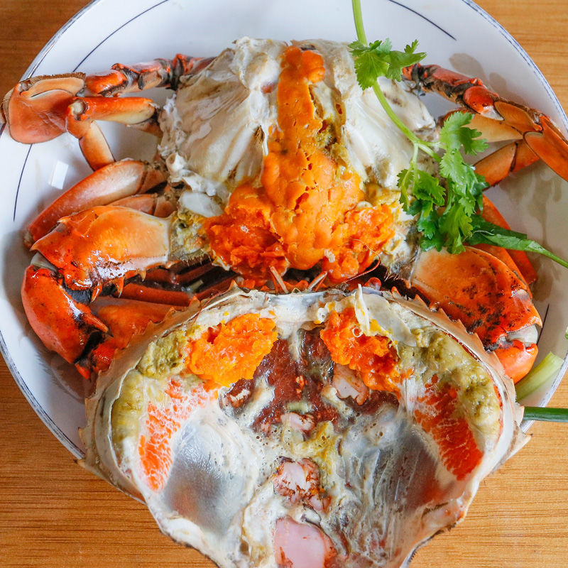 青蟹鲜活批发一整箱特大号红膏蟹肉蟹海鲜螃蟹母蟹红鲟包邮包活