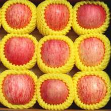 苹果山东烟台红富士当季新鲜现摘红富士水果510斤整箱批一件批发