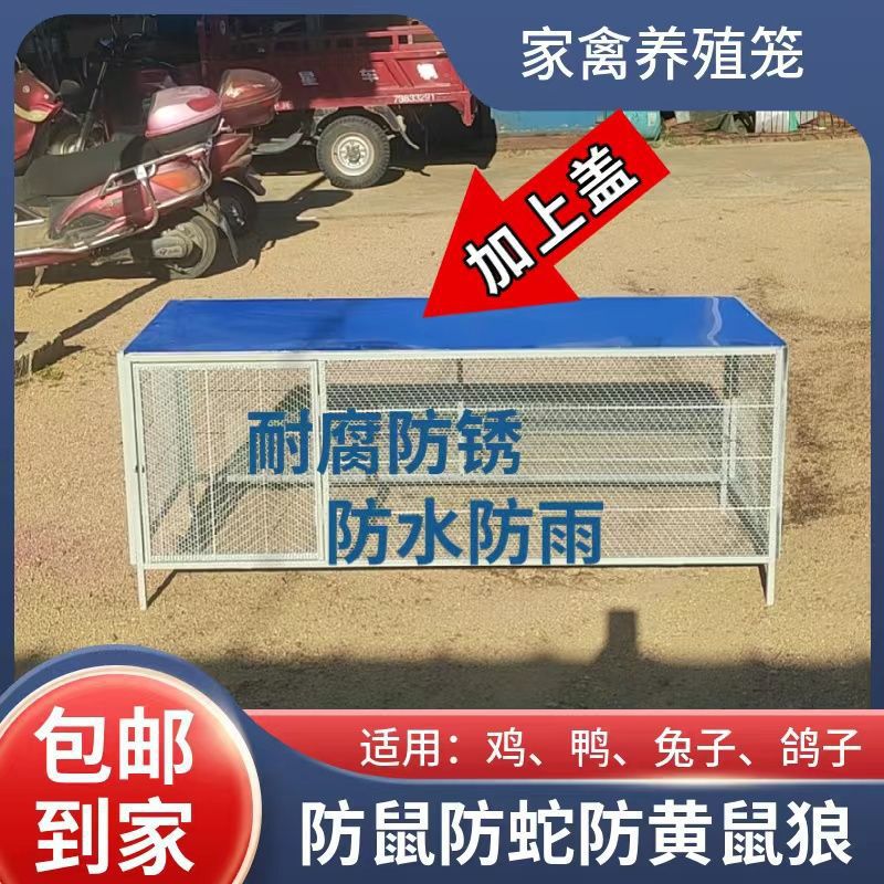 笼鸡笼子小鸡笼养殖加大加密防鼠养兔狗笼鹌鹑鸟鸽子笼工具热