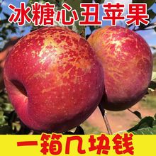 【亏本价】冰糖心苹果10斤新鲜水果应季整箱脆甜批发红富士5斤2斤