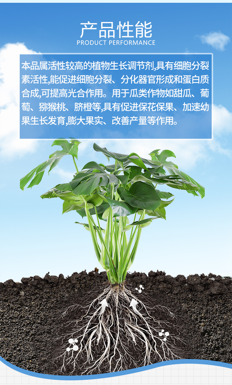 国光座瓜灵氯吡脲坐果药黄瓜西瓜甜瓜专用座果膨大素剂拉长调节剂