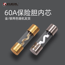 AGU-60A 汽车保险玻璃保险丝管 60A玻璃快断保险丝 变压器保险丝