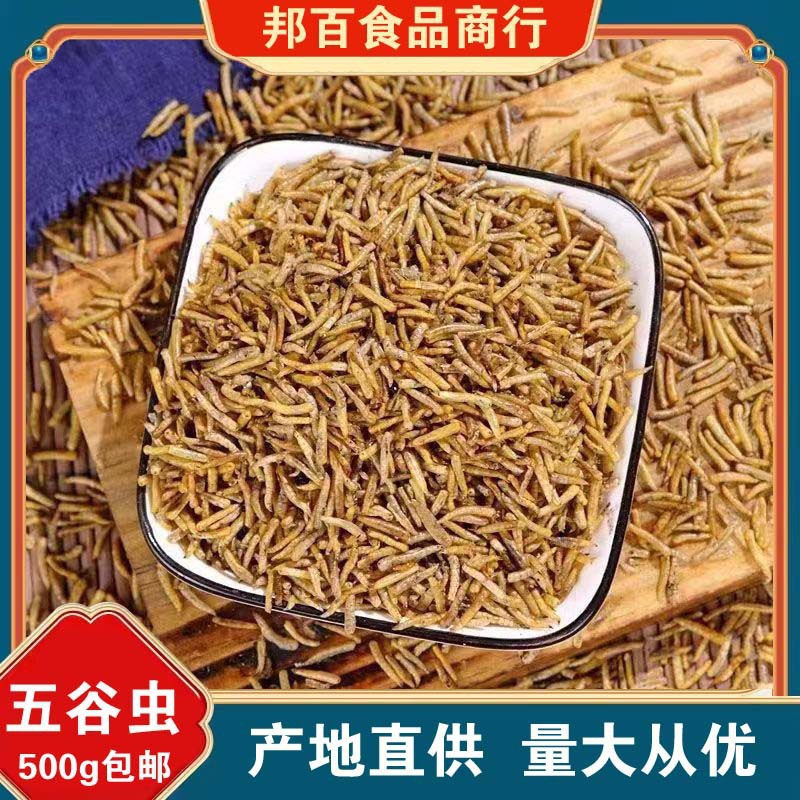 五谷虫中药材散装五谷虫干蛆蝇蛆干水仙子无谷虫五姑虫售蝼蛄蚂蚱