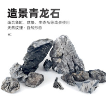 鱼缸青龙石造景真石头原石碎石迷你小块酸洗天然小号辅助组景英石