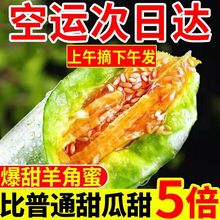 羊角蜜瓜蜜甜瓜当季新鲜头茬孕妇水果香甜瓜一整箱工厂批发