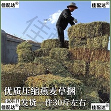 燕麦草捆烘干大麦草干草喂家畜喂羊宠物店小动物植物性饲料兔子草