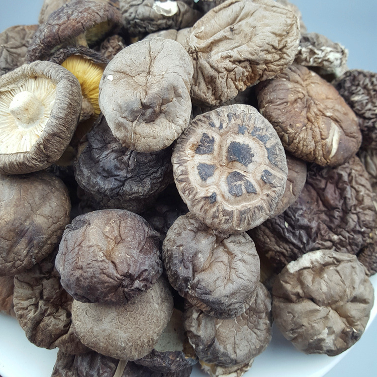 香菇农产品东北香菇大兴安岭蘑菇新货500g包邮