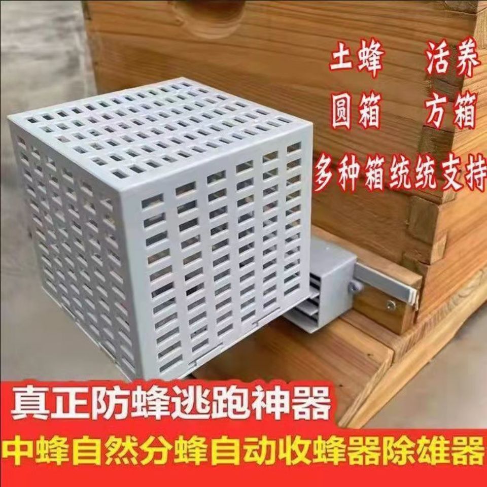 中蜂自动分蜂器无人值守收蜂分蜂收王器分蜂器中蜂自动收蜂器