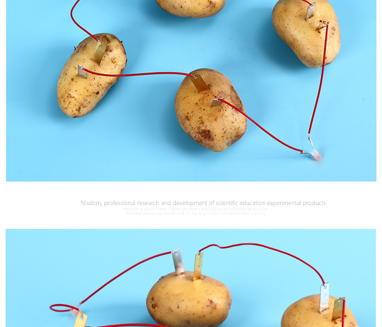 水果蔬菜土豆发电小学科技小制作手工diy材料幼儿园科学实验批发
