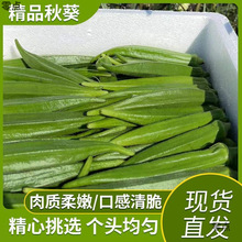 秋葵新鲜时令秋葵蔬菜鲜嫩1斤5斤装农家羊豆角露天种植亚马逊